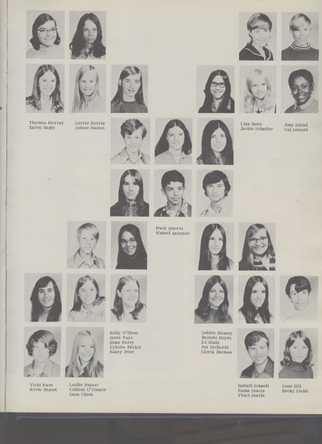 1973 AAHS Yearbook